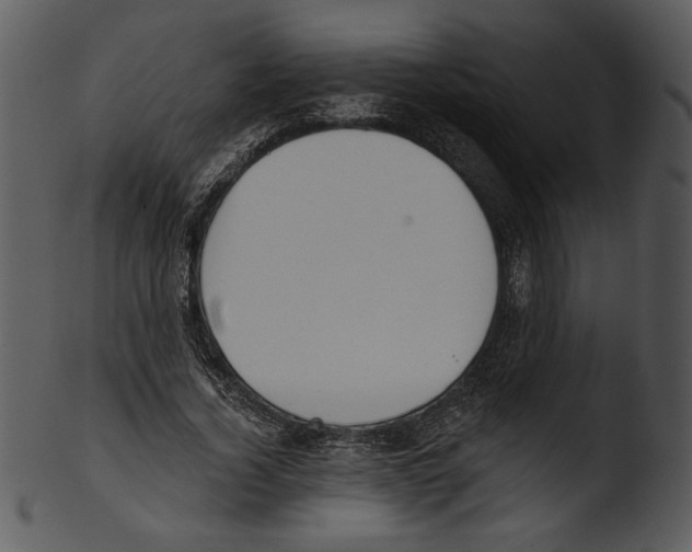X0000103230732200809251303