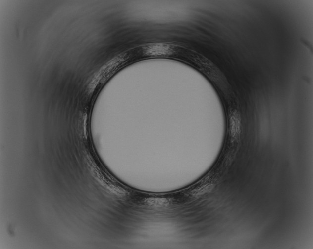 X0000103230733200809251303