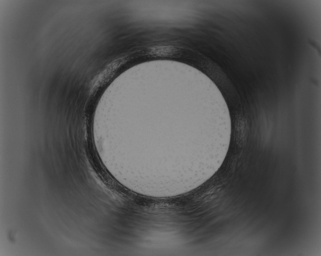 X0000103230734200809251303