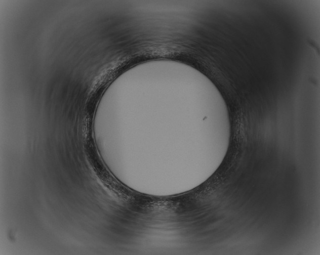 X0000103230736200809251304