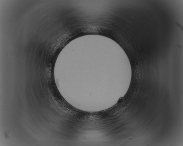 X0000103230739200809251304
