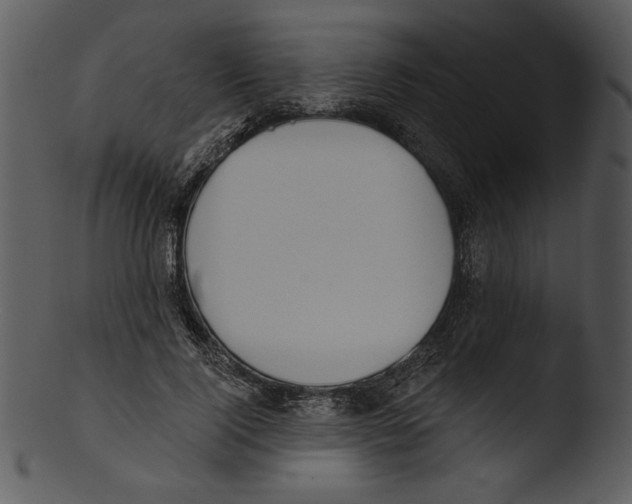 X0000103230740200809251304
