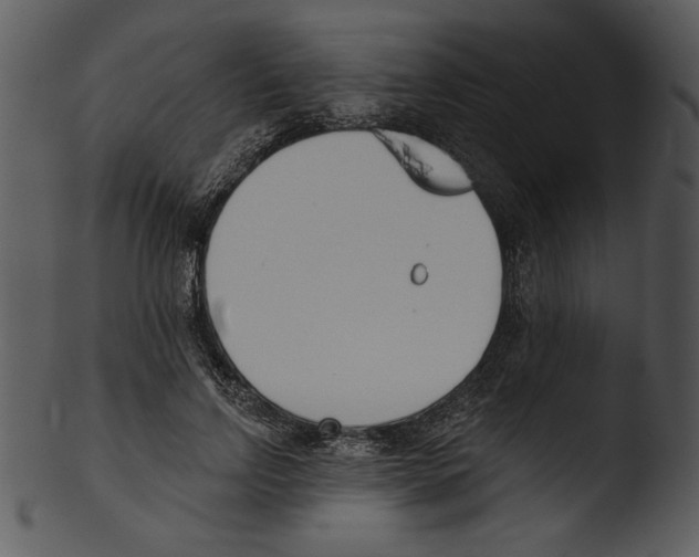 X0000103230742200809251304