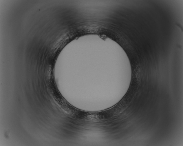 X0000103230744200809251304