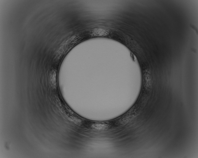 X0000103230745200809251304