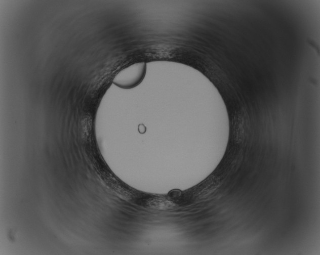 X0000103230747200809251304