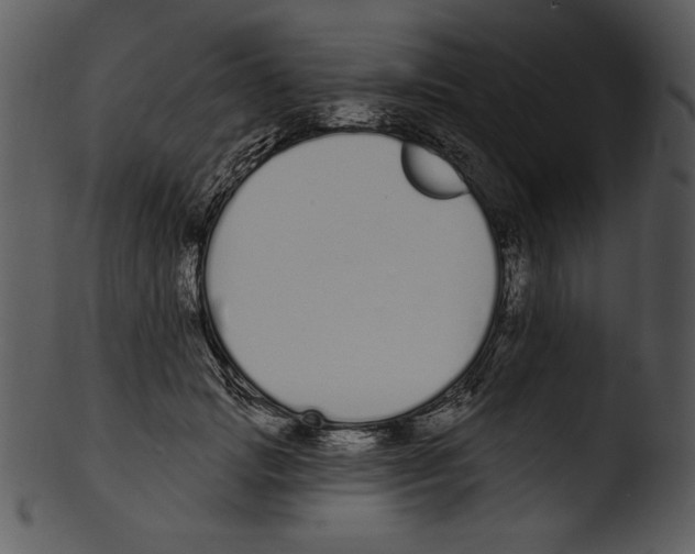 X0000103230749200809251304