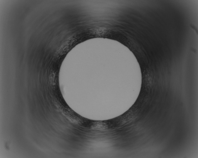 X0000103230750200809251304