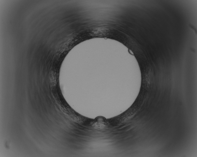 X0000103230751200809251304