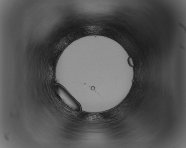 X0000103230752200809251304