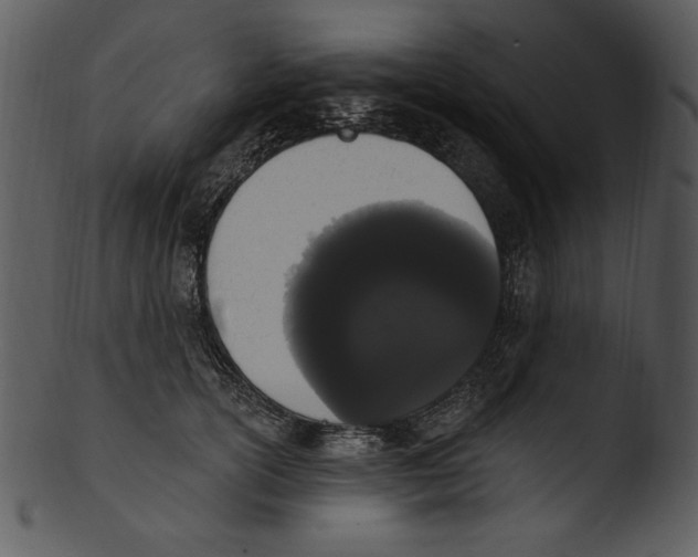 X0000103230754200809251304
