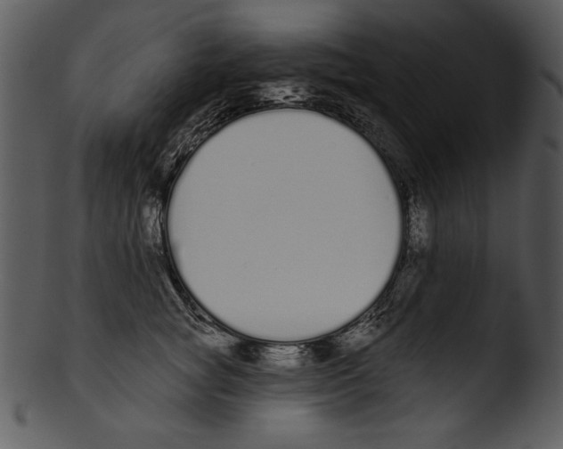 X0000103230757200809251304