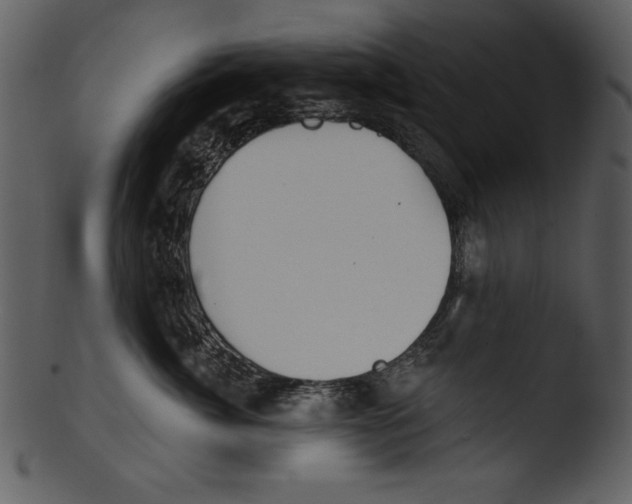 X0000103230764200809251304