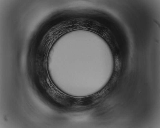 X0000103230765200809251304