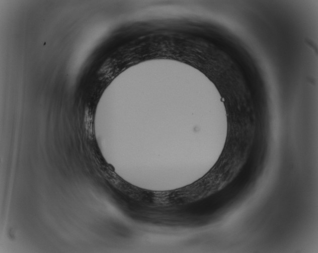 X0000103230766200809251304
