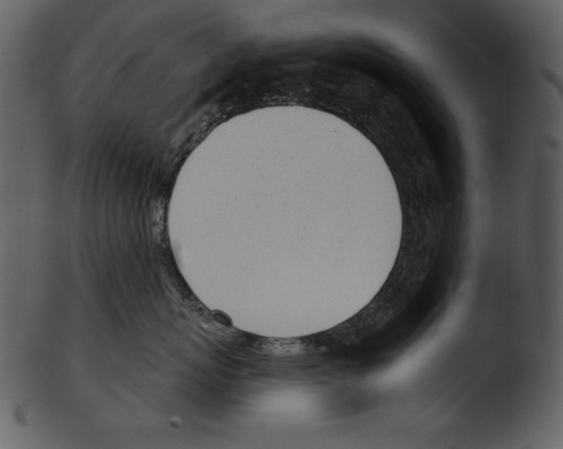 X0000103230767200809251304