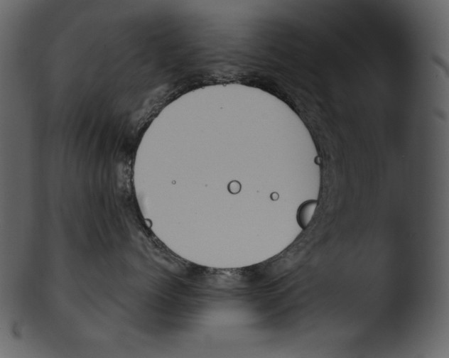 X0000103230768200809251304