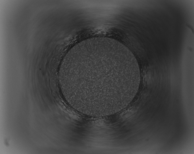X0000103230769200809251303