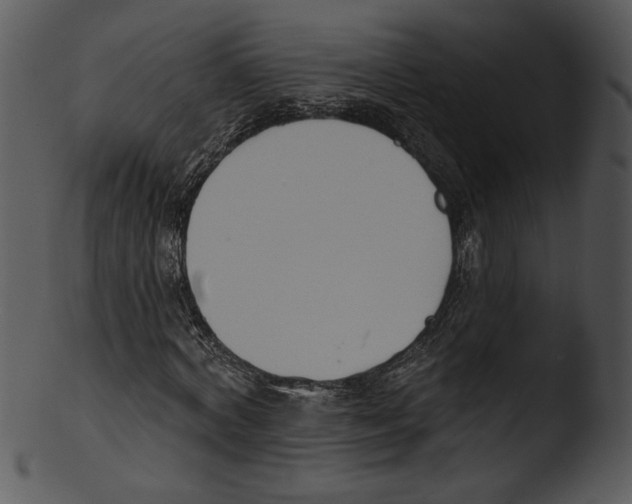 X0000103230772200809251303