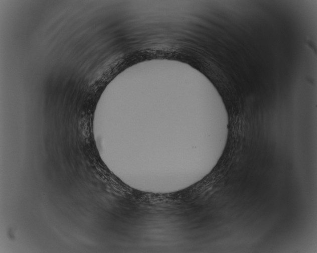 X0000103230774200809251303