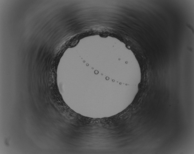 X0000103230776200809251303