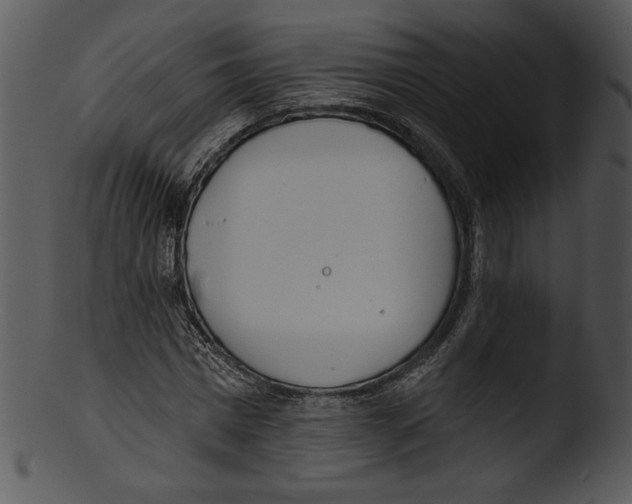 X0000103230777200809251303