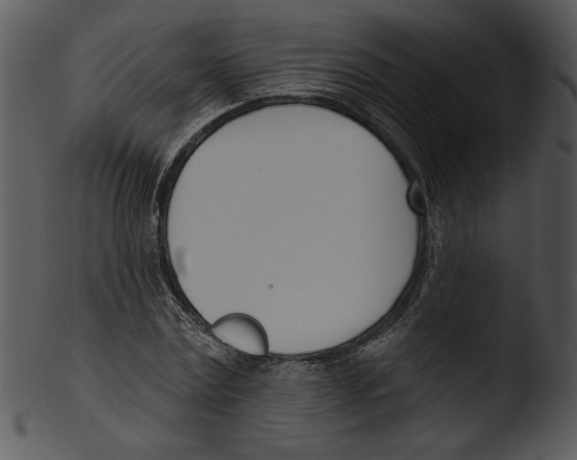 X0000103230779200809251303