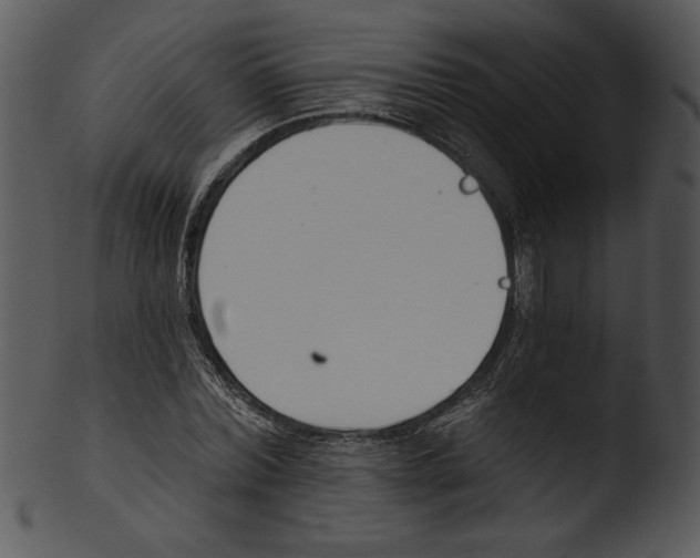 X0000103230780200809251303