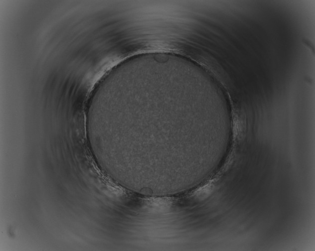 X0000103230781200809251303