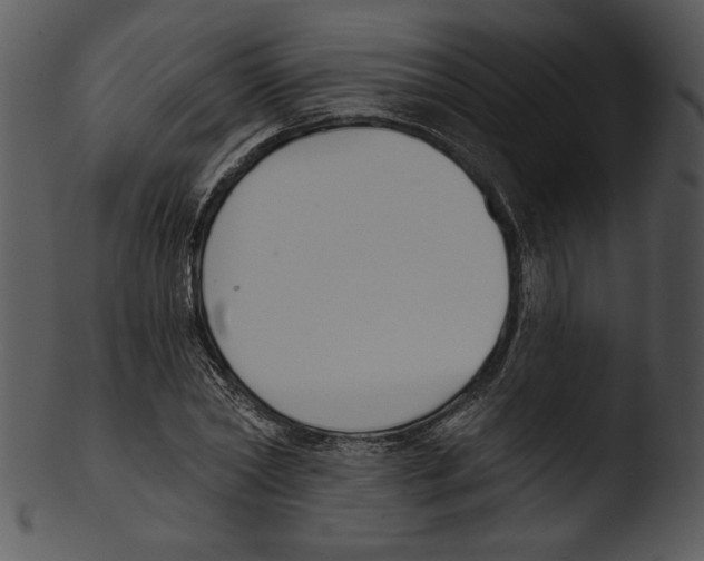 X0000103230782200809251303