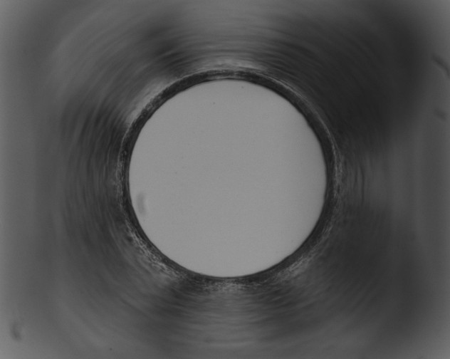 X0000103230783200809251303