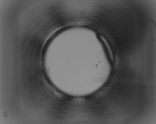 X0000103230784200809251303