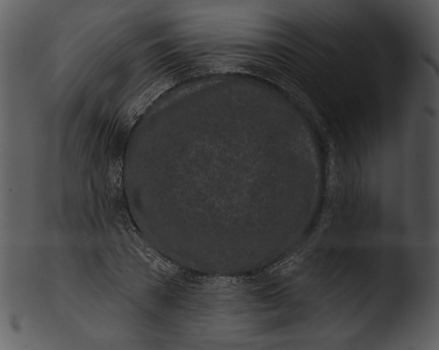 X0000103230785200809251303