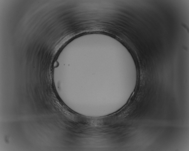 X0000103230789200809251303