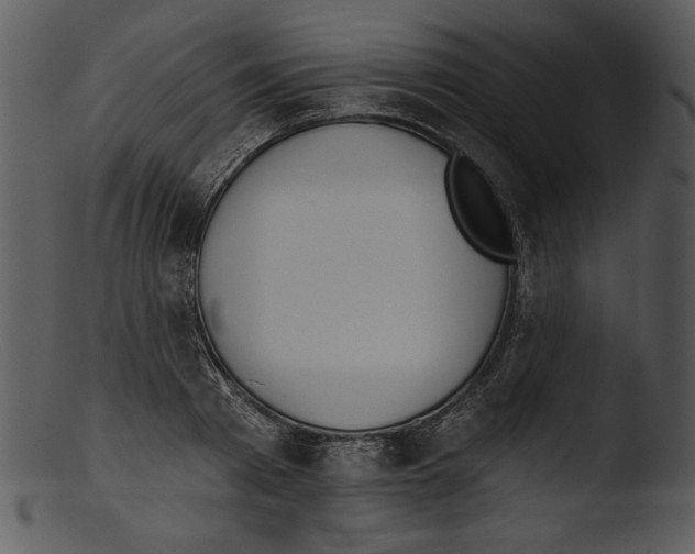 X0000103230793200809251303