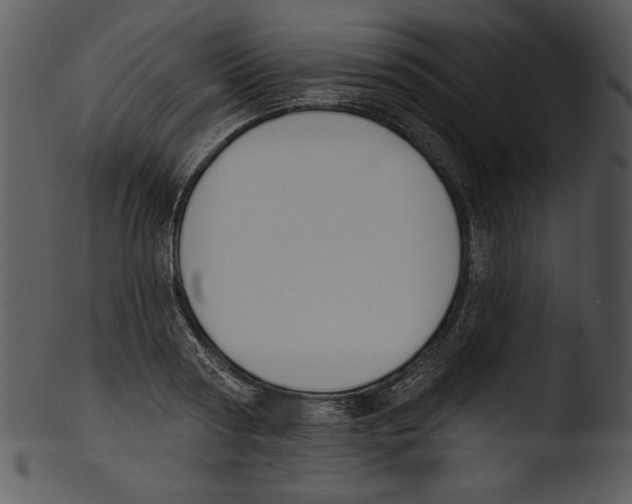 X0000103230794200809251303