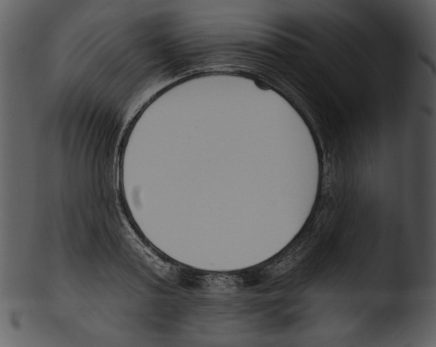 X0000103230795200809251303