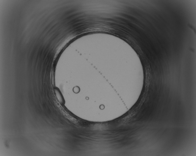 X0000103230796200809251303
