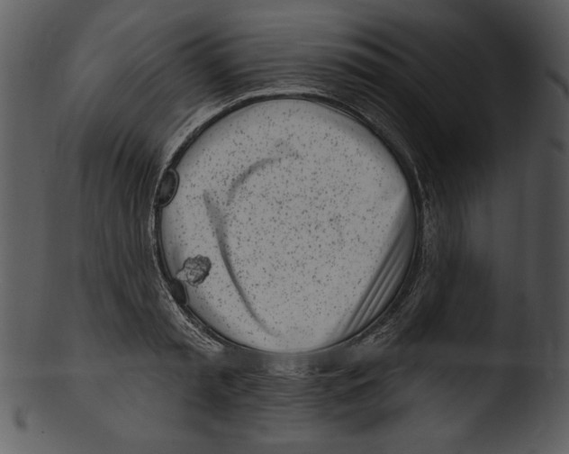 X0000103230797200809251303