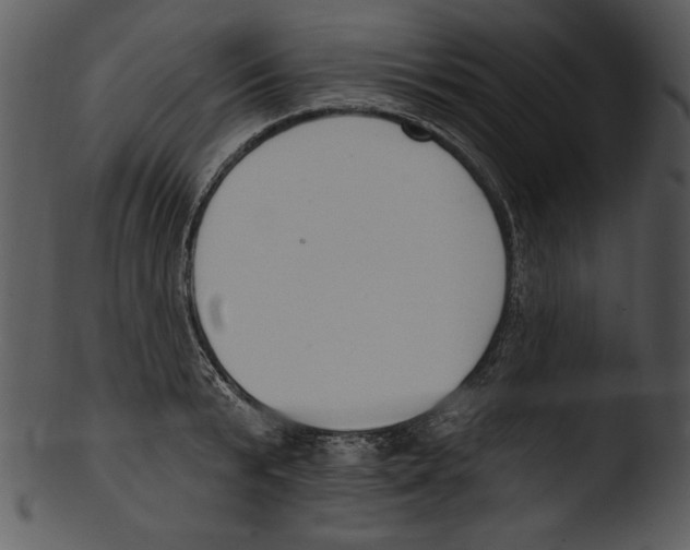 X0000103230799200809251303