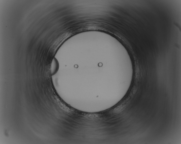X0000103230801200809251303