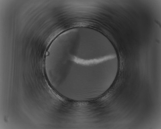 X0000103230802200809251303