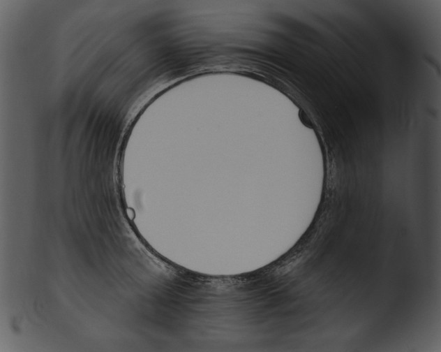 X0000103230803200809251303