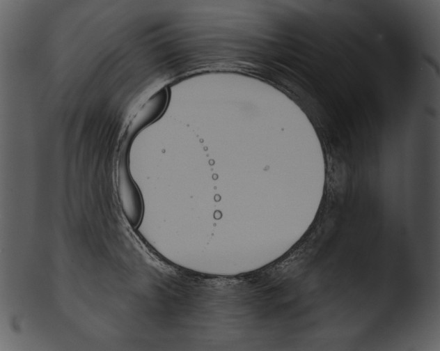 X0000103230804200809251303