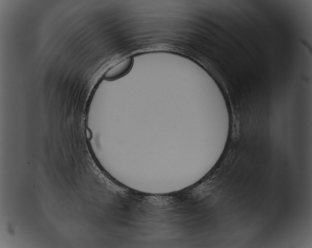 X0000103230805200809251303