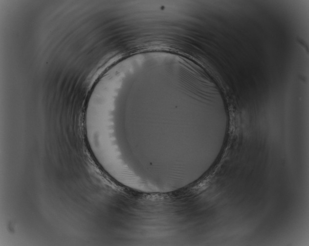 X0000103230806200809251303