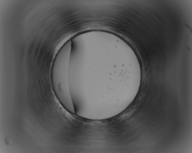 X0000103230807200809251303