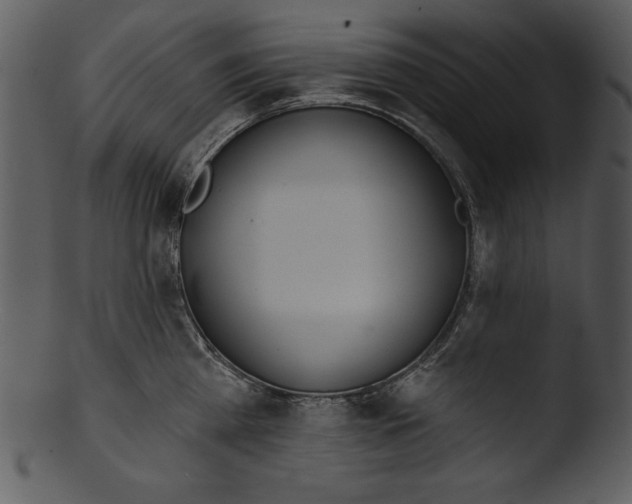 X0000103230809200809251303