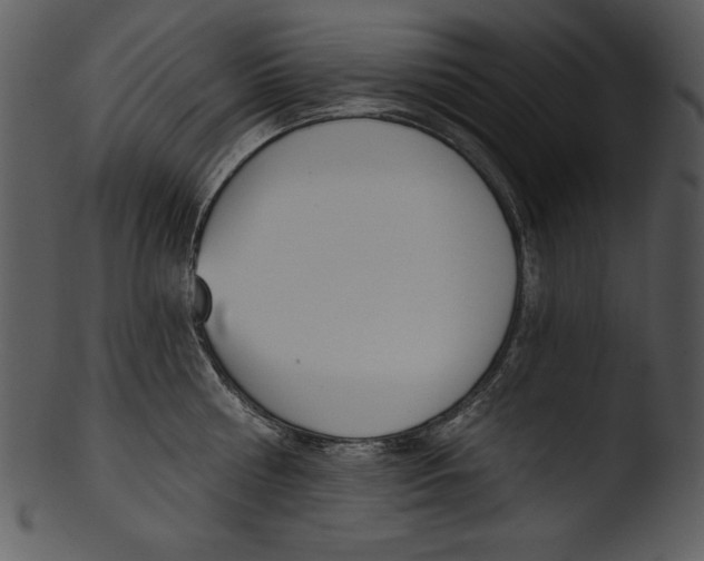 X0000103230810200809251303