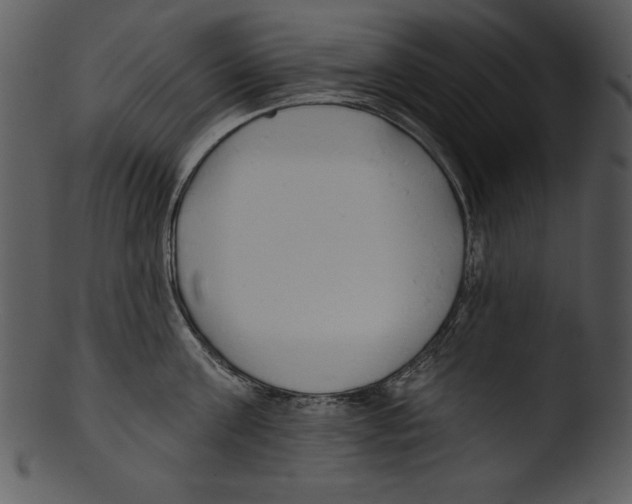X0000103230811200809251303